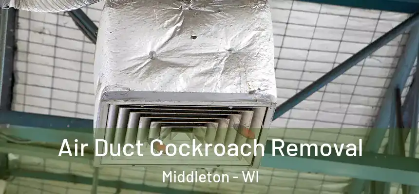  Air Duct Cockroach Removal Middleton - WI
