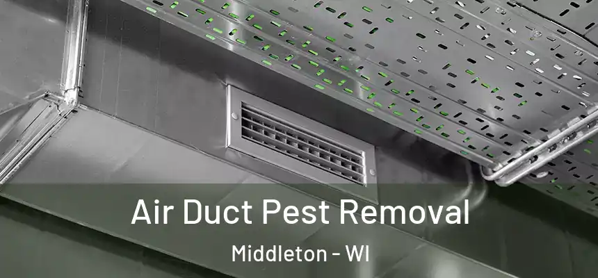  Air Duct Pest Removal Middleton - WI