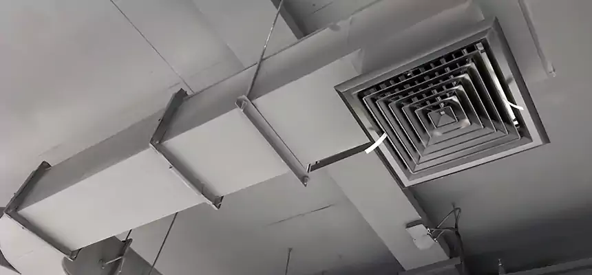 Restorative Allergy Relief Vent Cleaning – Coil, Blower & Housing Detail in Middleton