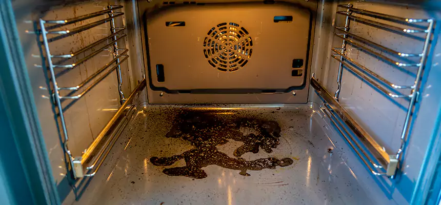 Our Dryer Vent Mold Cleaning Services in Middleton, WI