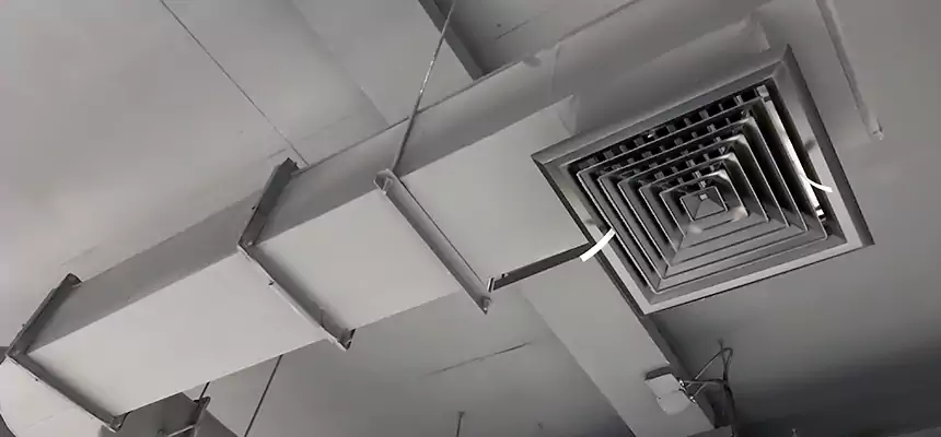 Our Pest Removal From Ducts Services in Middleton, WI