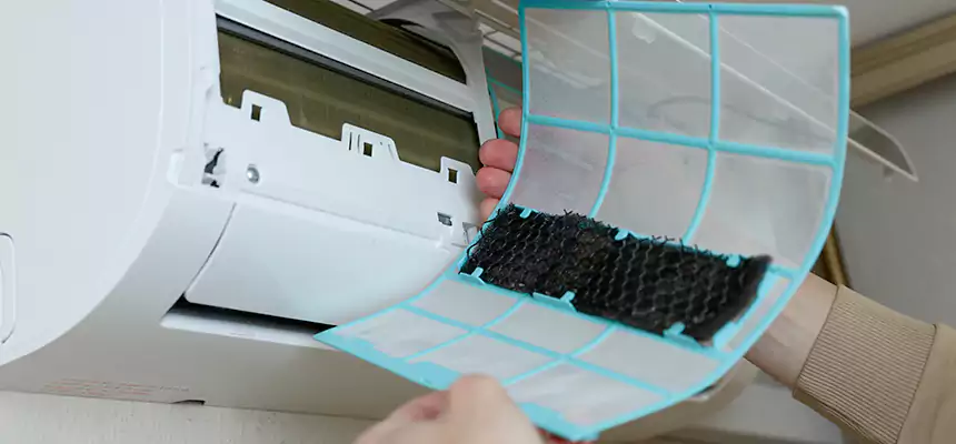 Gentle Ductwork Odor-Control Pet Dander Duct Cleaning in Middleton, WI