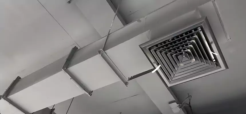 Our Rodent Droppings In Vents Services in Middleton, WI