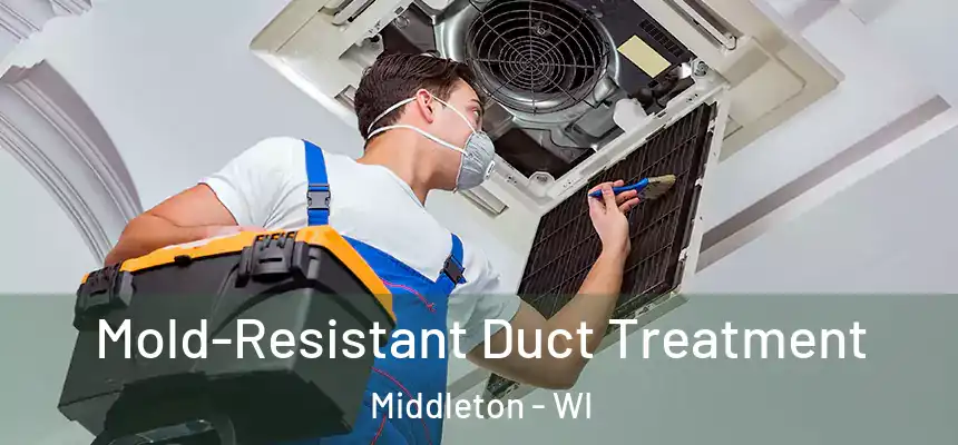  Mold-Resistant Duct Treatment Middleton - WI