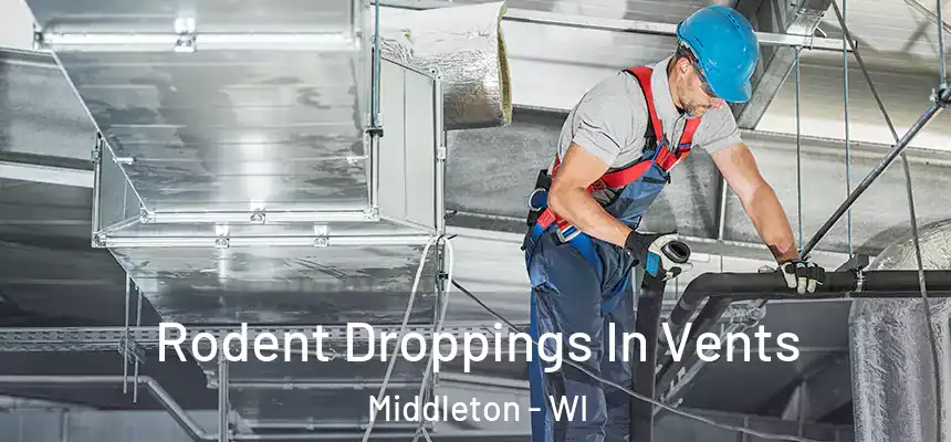  Rodent Droppings In Vents Middleton - WI