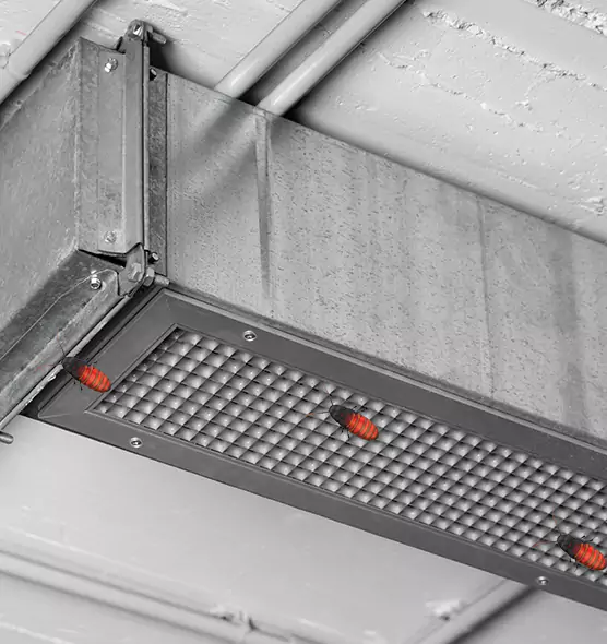 About Air Duct Cockroach Removal in Middleton, WI