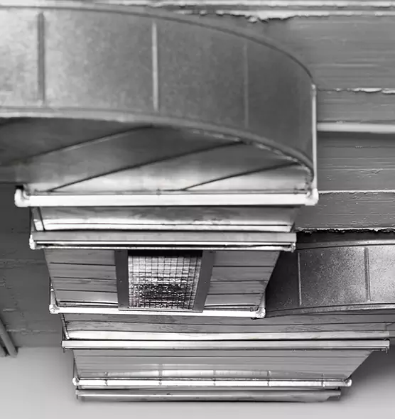 Professional Air Duct Pest Removal in Middleton, WI