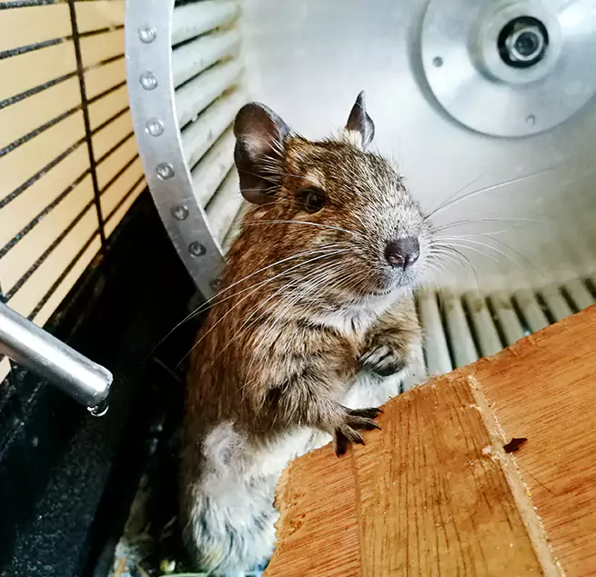 Why Homeowners & Businesses Trust Us Middleton, WI?